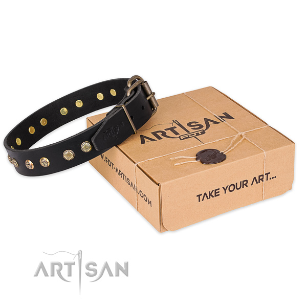 Strong buckle on full grain natural leather collar for your beautiful canine