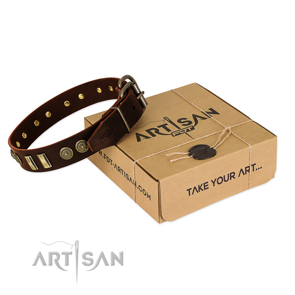 Rust resistant adornments on leather dog collar for your four-legged friend