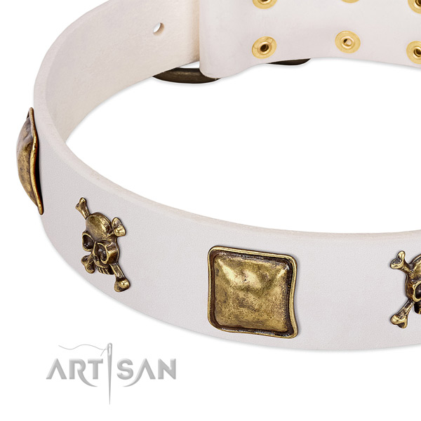 Exquisite leather dog collar with rust-proof adornments