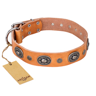 "Twinkle Twinkle" FDT Artisan Incredible Studded Tan Leather Belgian Malinois Collar