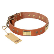 "Enchanting Spectacle" FDT Artisan Tan Leather Belgian Malinois Collar with Old Bronze Look Plates and Round Studs "Enchanting Spectacle" FDT Artisan Tan Leather Belgian Malinois Collar with Old Bronze Look Plates and Round Studs