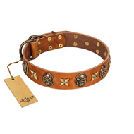 "Rockin' Doggie" FDT Artisan Tan Leather Belgian Malinois Collar Adorned with Stars and Skulls