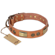 "Lost Desert" FDT Artisan Leather Belgian Malinois Collar with Brass Decorations