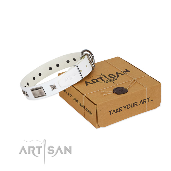 Impressive collar of natural leather for your handsome doggie