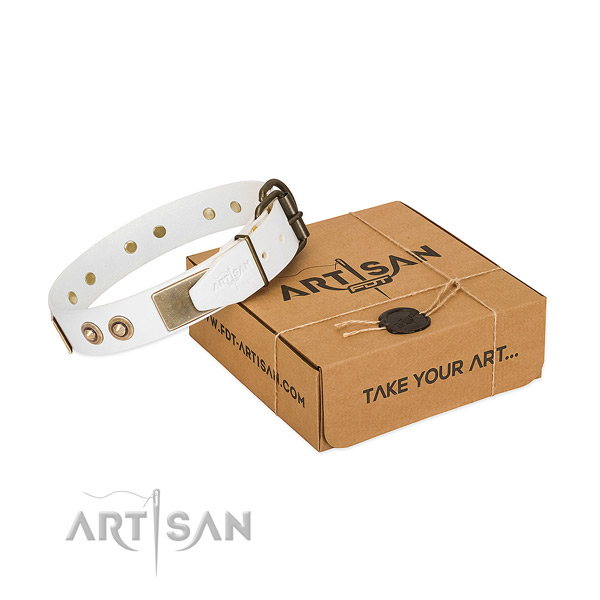 Corrosion proof studs on leather dog collar for your canine