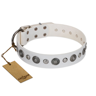 "Fluff-Stuff Beauty" FDT Artisan White Leather Belgian Malinois Collar with Silver-like Studs and Conchos "Fluff-Stuff Beauty" FDT Artisan White Leather Belgian Malinois Collar with Silver-like Studs and Conchos