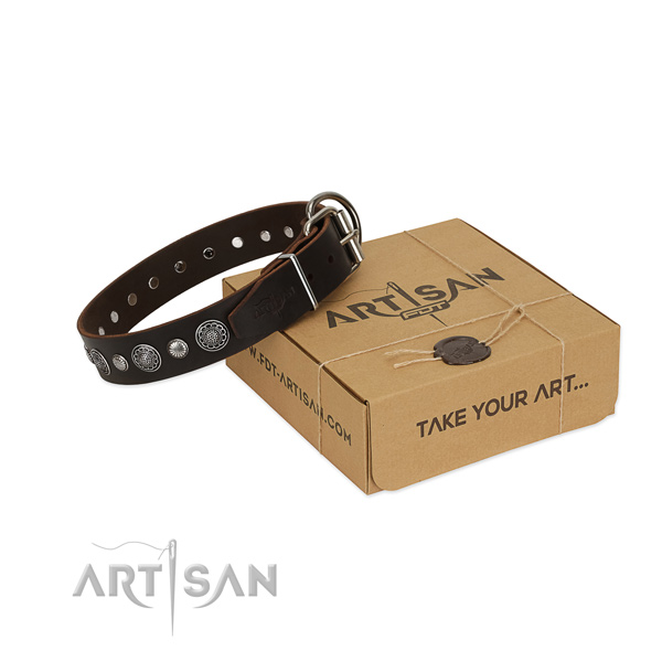 Strong full grain leather dog collar with stylish adornments