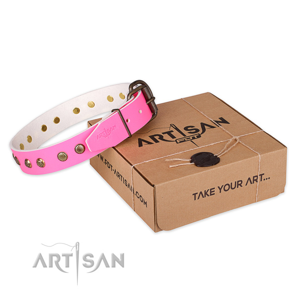 Rust-proof D-ring on genuine leather collar for your beautiful four-legged friend