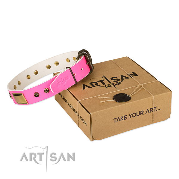 Stylish leather collar for your attractive pet