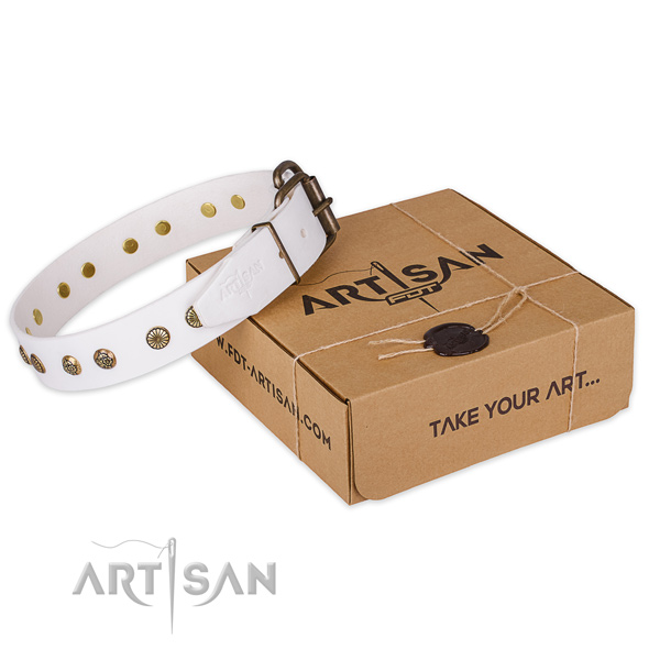 Rust resistant traditional buckle on full grain genuine leather collar for your handsome canine