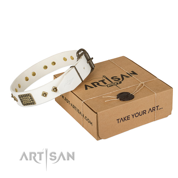 Fashionable leather collar for your handsome four-legged friend