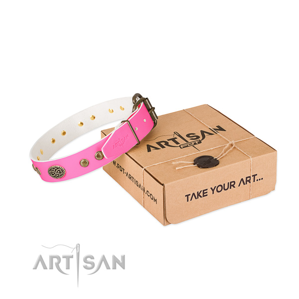 Strong traditional buckle on leather dog collar for your dog