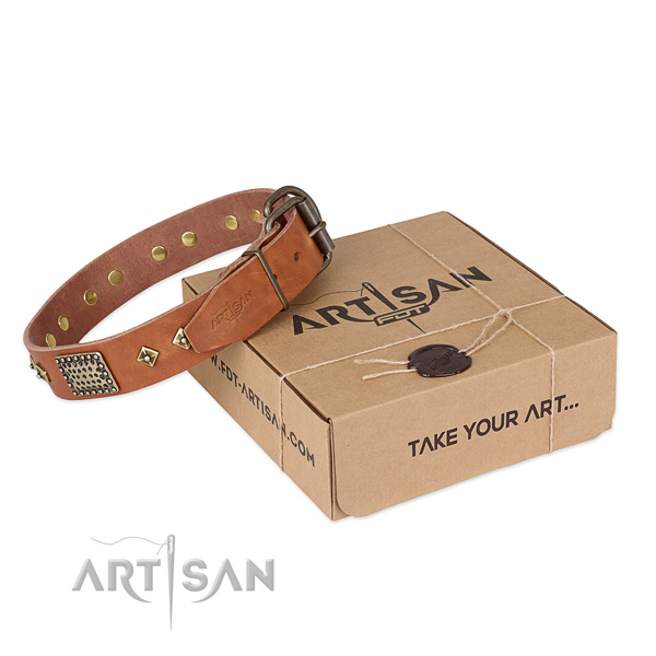Adorned full grain natural leather collar for your impressive canine
