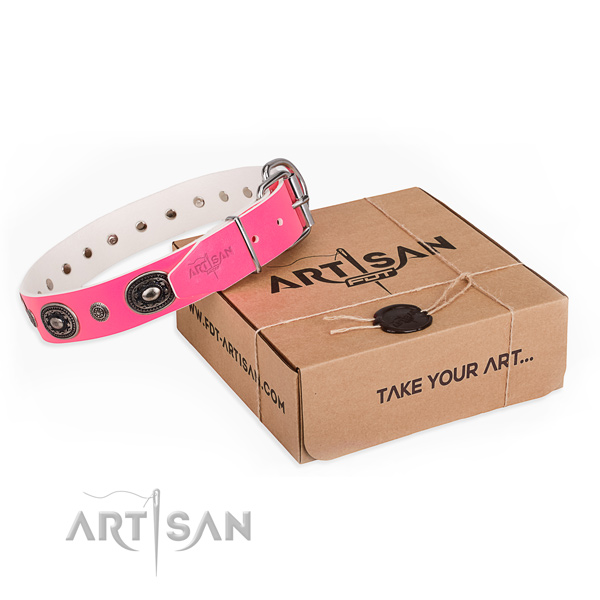 Quality leather dog collar crafted for daily use