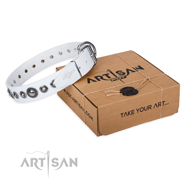 Full grain natural leather dog collar made of top rate material with reliable traditional buckle