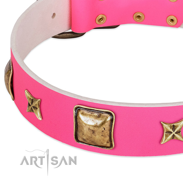 Natural leather dog collar with unusual decorations