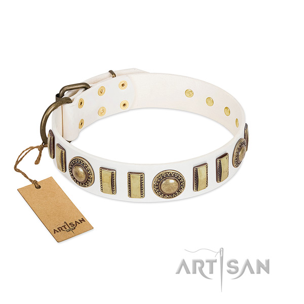 Handcrafted natural leather dog collar with rust resistant fittings
