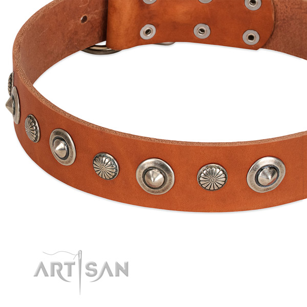 Stylish studded dog collar of finest quality full grain natural leather