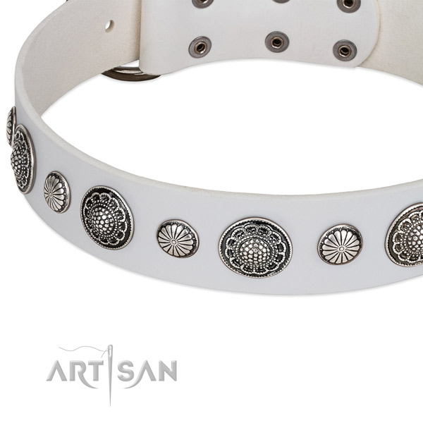 Full grain leather collar with rust resistant traditional buckle for your stylish dog