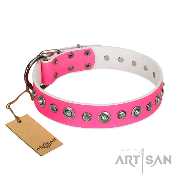 Top quality full grain natural leather dog collar with incredible adornments