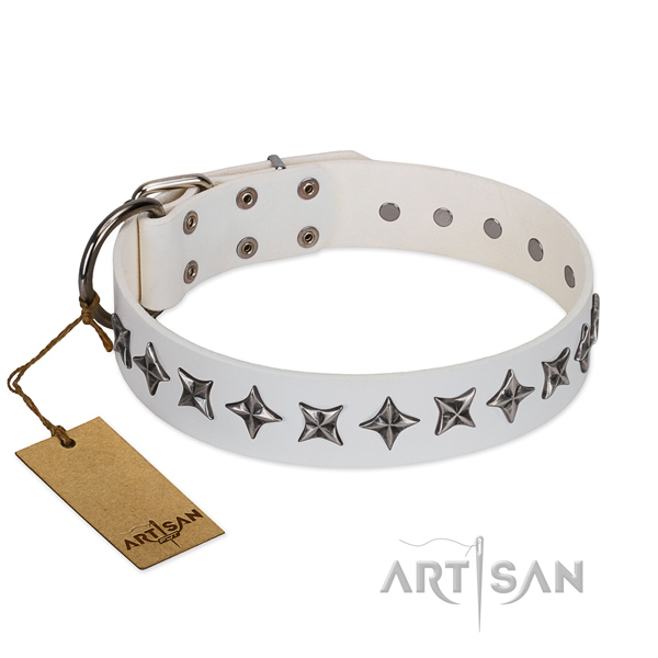 Comfortable wearing dog collar of quality full grain natural leather with studs