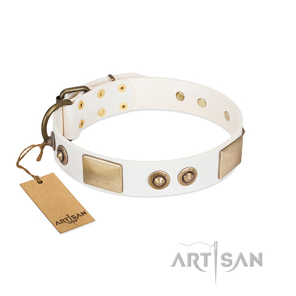 Strong adornments on natural genuine leather dog collar for your four-legged friend