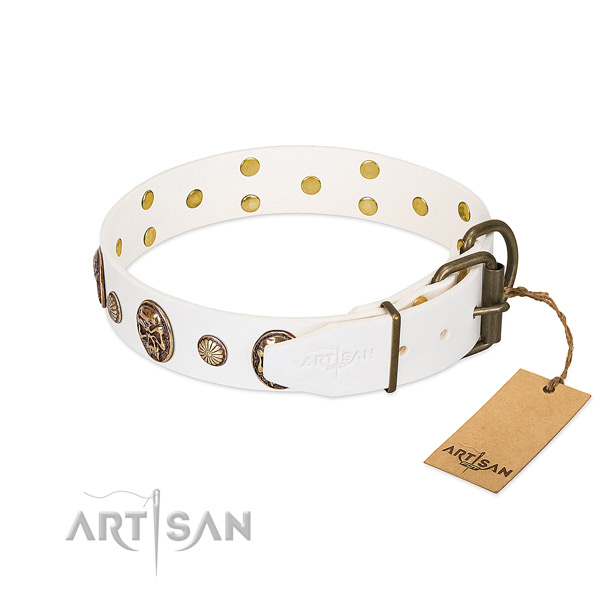 Rust resistant D-ring on genuine leather collar for everyday walking your four-legged friend