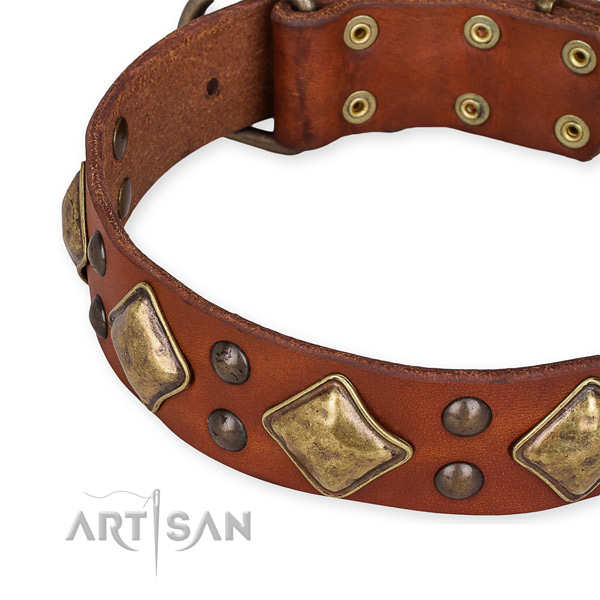 Full grain natural leather collar with rust resistant buckle for your stylish canine