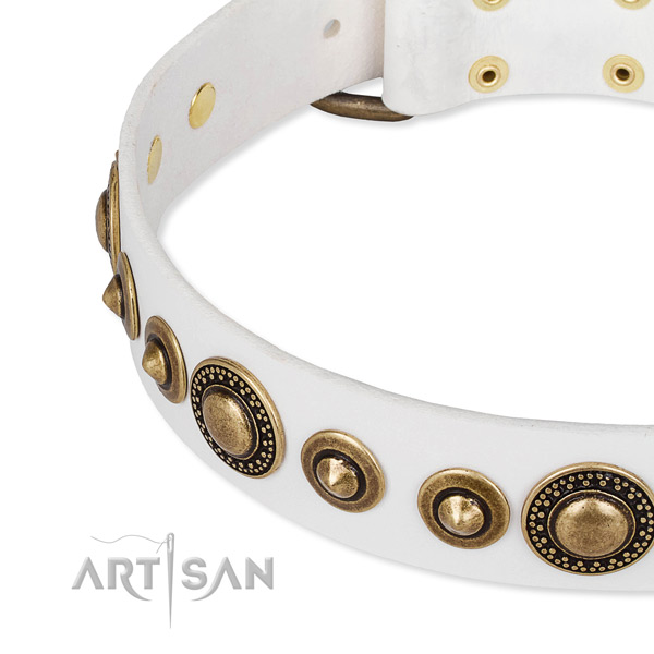 Reliable full grain genuine leather dog collar created for your lovely four-legged friend