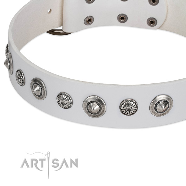 Natural leather collar with corrosion proof fittings for your stylish dog