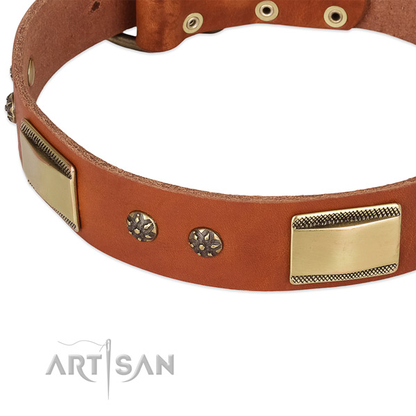 Reliable embellishments on full grain leather dog collar for your dog