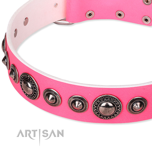 Daily use studded dog collar of top quality full grain leather