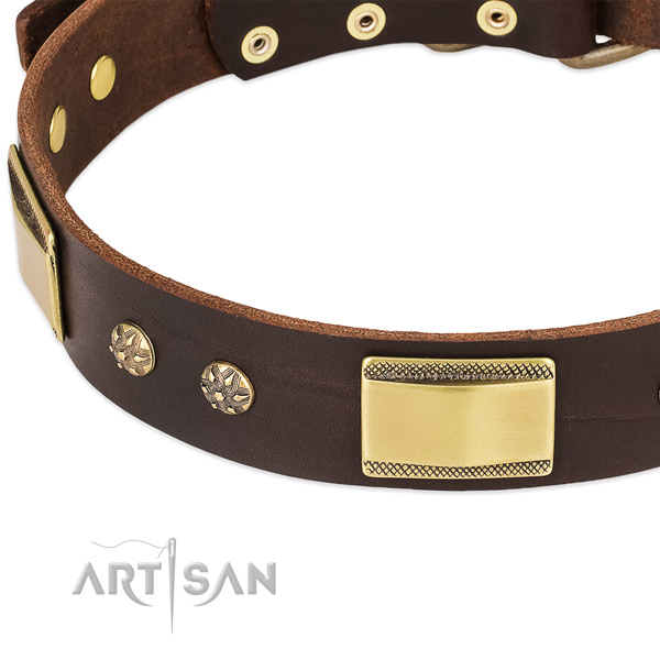 Strong traditional buckle on leather dog collar for your pet