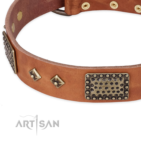 Corrosion proof decorations on genuine leather dog collar for your doggie