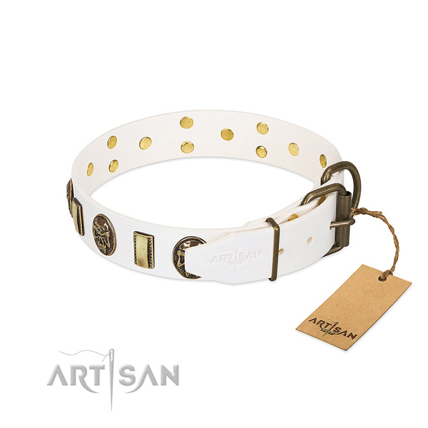 Durable hardware on leather collar for walking your pet