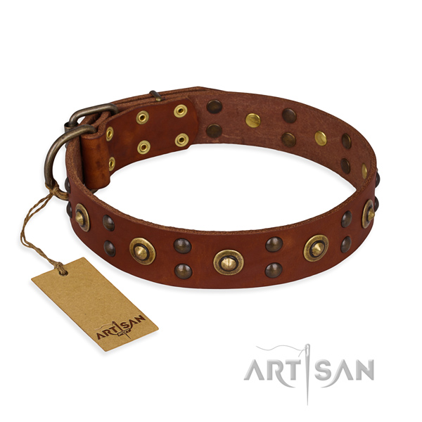 Inimitable genuine leather dog collar with reliable hardware