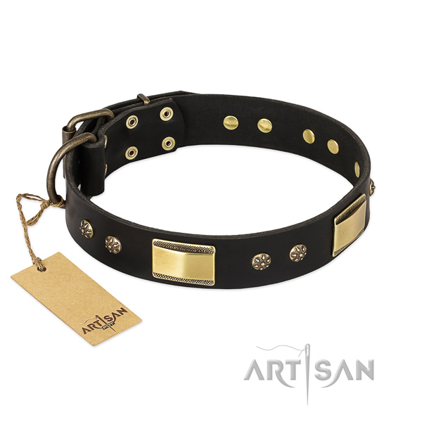 Exquisite full grain natural leather collar for your four-legged friend