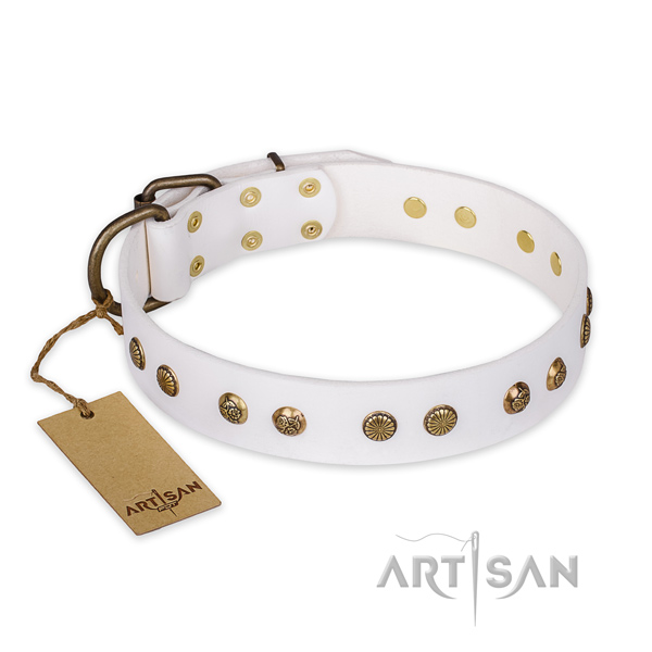 Stunning natural genuine leather dog collar with corrosion proof D-ring