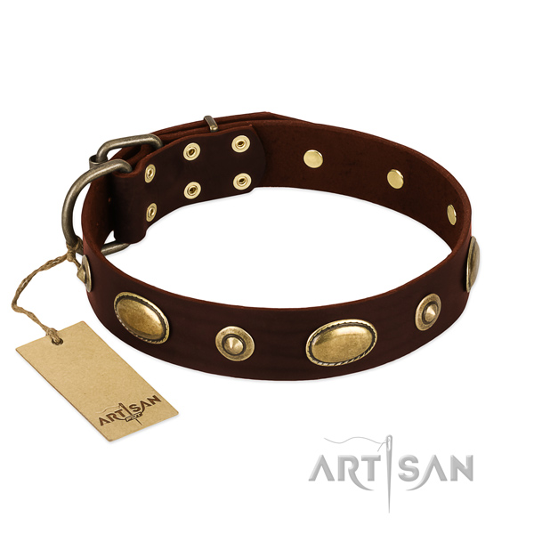 Top quality leather collar for your canine