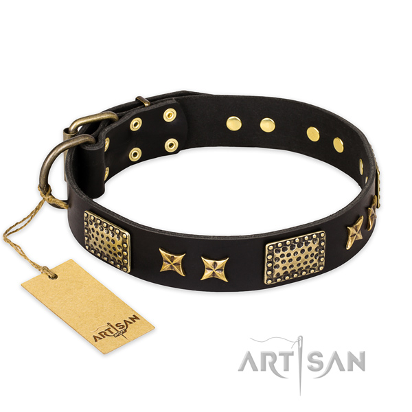 Adorned leather dog collar with reliable D-ring