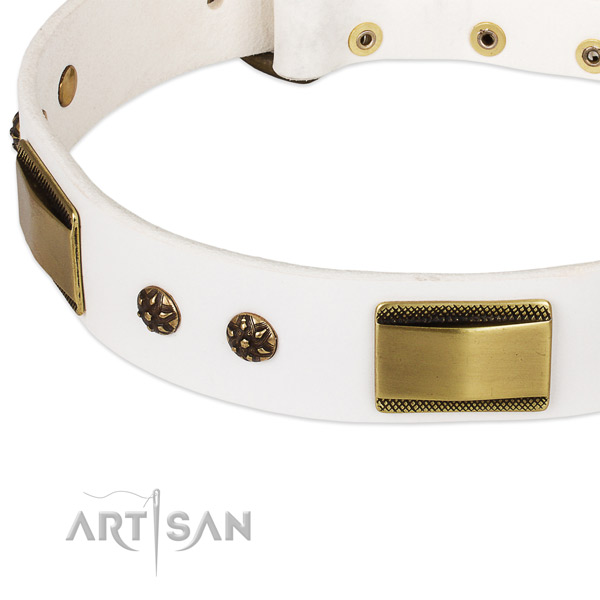 Rust-proof fittings on leather dog collar for your doggie