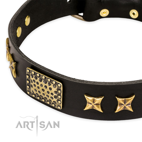 Full grain leather collar with strong buckle for your attractive canine