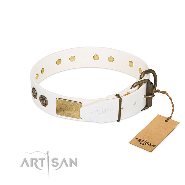 Corrosion resistant traditional buckle on full grain genuine leather collar for stylish walking your four-legged friend