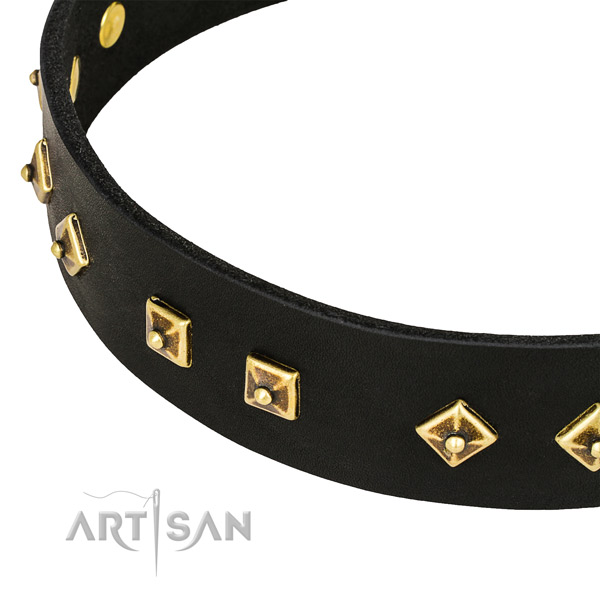 Designer genuine leather collar for your impressive four-legged friend
