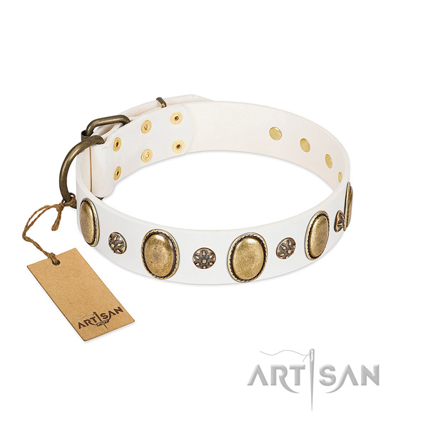 Daily walking flexible full grain genuine leather dog collar with adornments