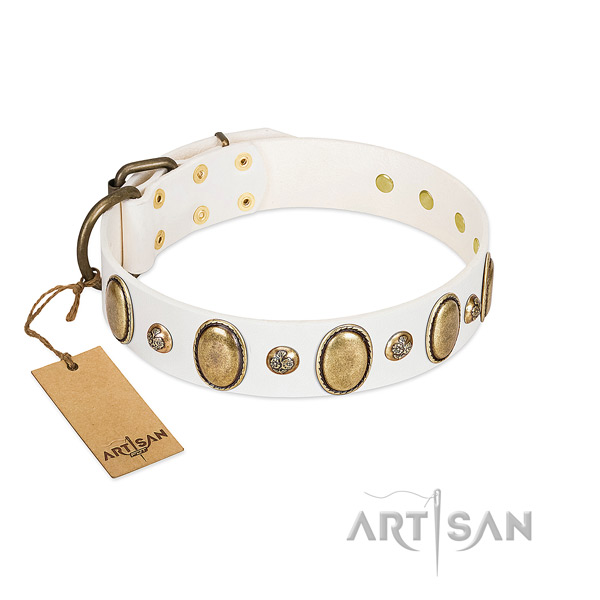 Full grain genuine leather dog collar of high quality material with remarkable studs