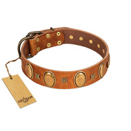 "Glossy Autumn" Designer Handmade FDT Artisan Tan Leather Belgian Malinois Collar with Ovals and Studs