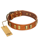 "Olive Slice" FDT Artisan Tan Leather Belgian Malinois Collar with Engraved and Smooth Plates