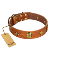 "Space Warrior" FDT Artisan Tan Leather Belgian Malinois Collar with Ovals and Stars