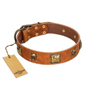 "Knights Templar" FDT Artisan Tan Leather Belgian Malinois Collar with Skulls and Crossbones Combined with Squares